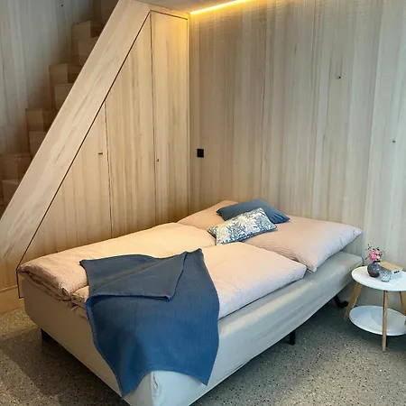 Tiny Town House